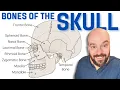 Skull Anatomy - The BEST way to remember every bone