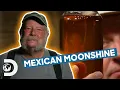 Lagu Mexican Moonshine Mezcal Master Blows The Judges Away | Moonshiners: Master Distiller
