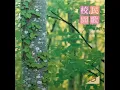 月亮代表我的心 - 鄧麗君