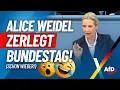 Download Lagu Schon wieder: Alice Weidel zerlegt Bundestag!