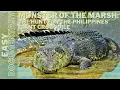 Monster of the Marsh: De jacht op de gigantische krokodil van de Filipijnen - Documentaire over w...