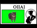OIIAI Spinning Cat Is Cat Brainrot