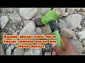 Download Lagu Penemuan fosil getah yang membantu di sungai lukulo || fosil getah || Batu kristal ||