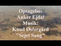 Download Lagu SEJET STRAND I EN CORONATID APRIL 2020