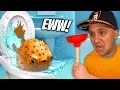 Lagu PUFFER FISH Goes Down The TOILET! | I Am Fish