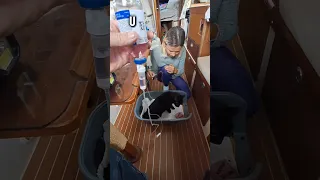 Update on PJ! 🐈‍⬛️🙏⛵️ #sailing #liveaboard #boatlife