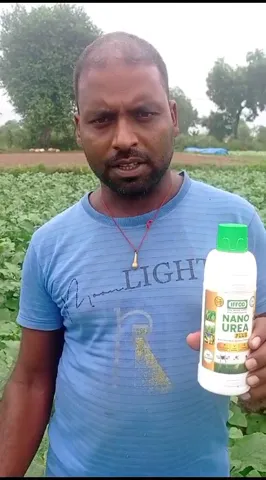 Nano Urea के इस्तेमाल से बैंगन की होगी बंपर खेती, Jharkhand का किसान क्या बोला | वनइंडिया हिंदी