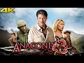 Download Lagu Anaconda 3: Offspring (2008) Movie Full | David Hasselhoff, Crystal Allen | Review and Facts
