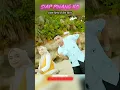 Download Lagu Siap Pinang Ko | Juan Reza ft Ria Ricis #shortvideo