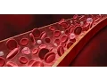 Download Lagu Anatomy and Physiology of Blood / Anatomy and Physiology Video