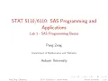 SAS - Lab 1
