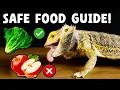 What Can Your Bearded Dragon Eat