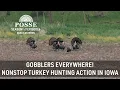 Gobblers Everywhere Nonstop Turkey Hunting Action In Iowa