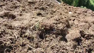 ماهو الطمي و ما الفرق بينه و بين الرمل أو الطين أو التربة 