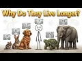 Can Prey Animals Evolve Into Predators The Answer Will Shock You