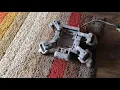 SMARS - Quad Robot walking