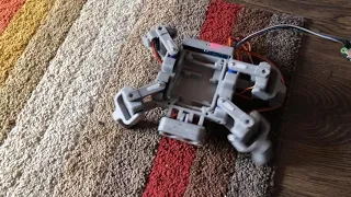 SMARS - Quad Robot walking