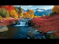 Soft Rock Songs 70s 80s 90s Full Album 🎁 Lionel Richie, Elton John, Eric Clapton, Bee Gees, Lobo