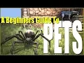 How To Raise Pets - A Beginners Guide Tutorial Conan Exiles