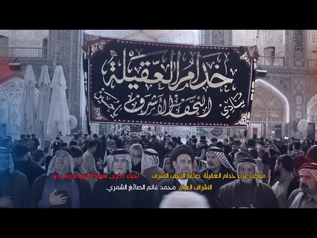 ⁣موكب خدام العقيلة ( ع ) | احياء شهادة السيدة زينب (ع) | الجوكات | المصور طاهر الفحام | قناة شجن
