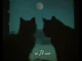 someday I’ll get it / Alek Olsen / lyrics / 1 hour