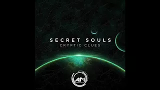 secret souls computers dream of encrypted quantisation errors
