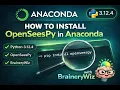 How to Install OpenSeesPy in Anaconda Spyder Python Version BraineryWiz for Best Visualization