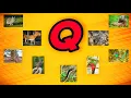 09 Animals names start with q with pictures or spellings