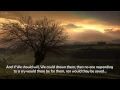Download Lagu Surah Ya-Seen (Muhammad Al-Luhaidan)