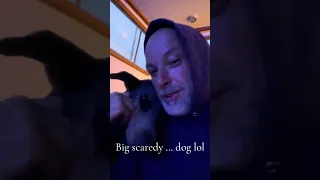 #fyp #vlog #sailing #doberman #pets