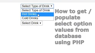 How to get populate select option values from database using PHP
