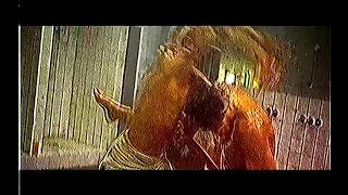 TEST VHS Maximum Risk 1996 