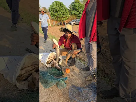 snakehead and pathan fishing today