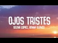 Selena Gomez, benny blanco - Ojos Tristes (Lyrics)