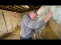 Module 4 Case Study Horse A Neck