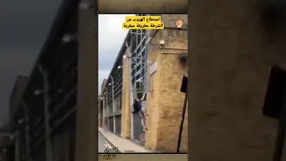 استطاع الهروب من رجال الشرطة بطريقة عبقرية 
