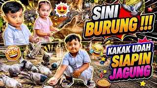 UDAH DITUNGGUIN !!! BURUNGNYA GAK MAU HINGGAP KE KAK VIANO 😂