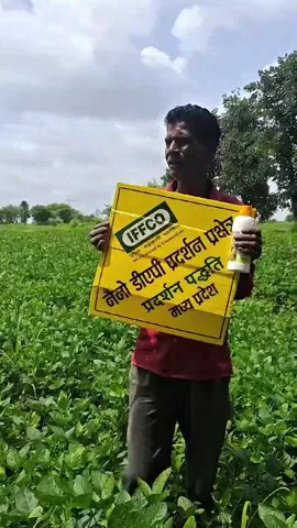 सोयाबीन के लिए कौन सी खाद फायदेमंद,दमोह के किसान ने  कर दिया खुलासा | वनइंडिया हिंदी