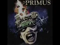 PRIMUS LACQUER HEAD