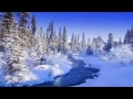 Download Lagu Salli Ya Rabbi Wa Salem نشيد صل يا ربي وسلم