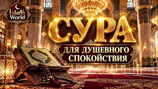 Для Успокоение Нервов. Отличная Сура! Поможет Успокоится!