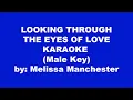 Download Lagu Melissa Manchester Looking Through The Eyes Of Love Karaoke Male Key