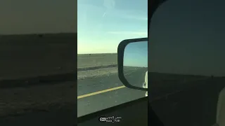 شيلة دقيت سلف للمنشد بندر الغيثي      دندنها