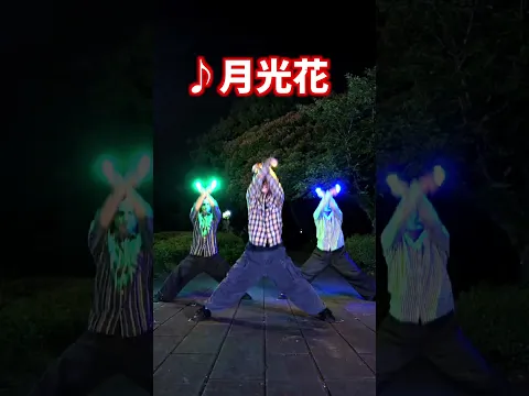 【令和の中高生は知らない】懐かしの平成アニソン５選！part 12【若丸シュンひろぴー】#ヲタ芸 #anime ＃平成