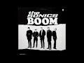 The Sonics "Shot Down" Boom 1966