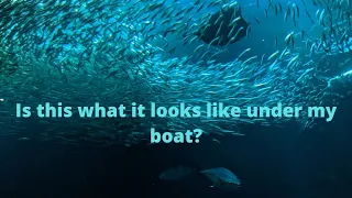 Monterey! (League 64)