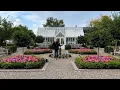 Download Lagu Review van de best presterende planten in onze tuin van 2024! 🌿🌸🤩 // Garden Answer