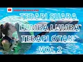 Download Lagu terapi lumba lumba, terapi suara lumba lumba, terapi otak vol 2