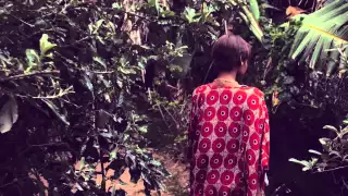 dj merlon ft black motion and mondli ngcobo tale of the monkeys official music video 