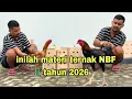 Lagu inilah materi ternak Nanda Brewok tahun 2026.